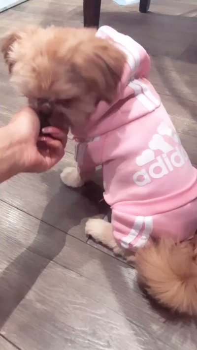 Watch Jenn Marie's leaked NSFW video on TwXstars