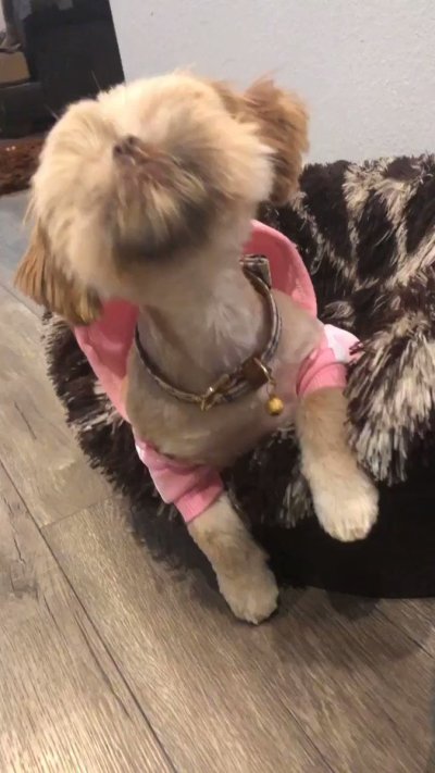 Watch Jenn Marie's leaked NSFW video on TwXstars