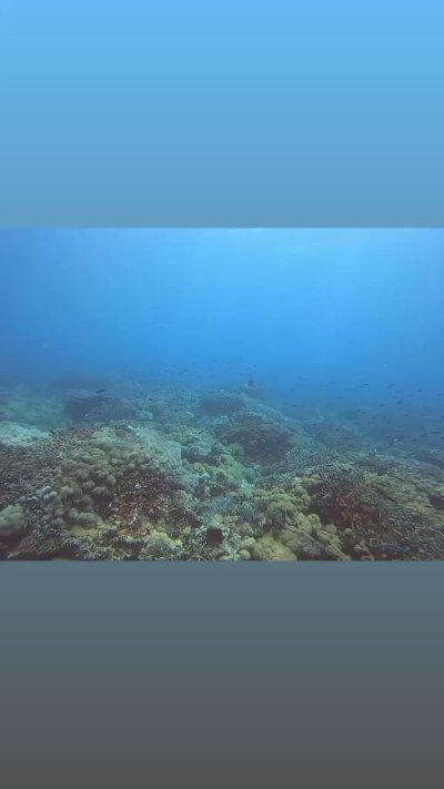 Watch もり苔🔞単行本発売中！'s leaked NSFW video on TwXstars