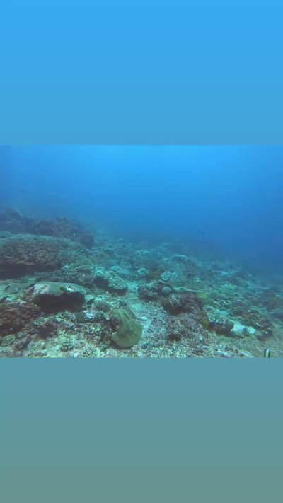 Watch もり苔🔞単行本発売中！'s leaked NSFW video on TwXstars