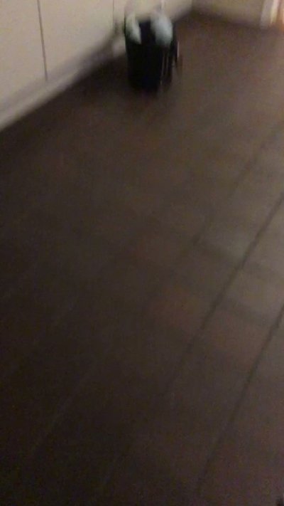 Watch Adeline Frost ✧'s leaked NSFW video on TwXstars