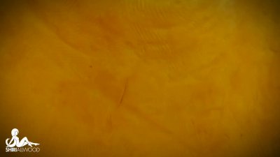 Watch Shiri Allwood's leaked NSFW video on TwXstars