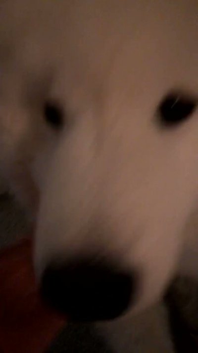 Watch saira 🦇's leaked NSFW video on TwXstars