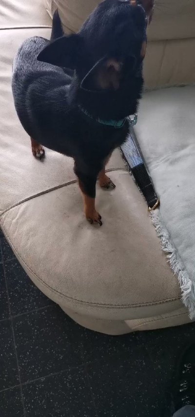 Watch Willokhlass's leaked NSFW video on TwXstars