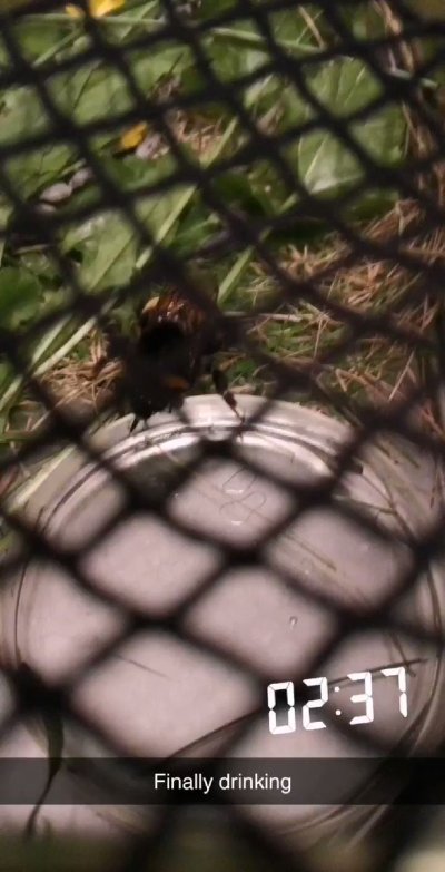 Watch 🌸Nori🌸's leaked NSFW video on TwXstars