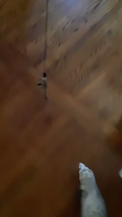 Watch FoxyPrince ♡'s leaked NSFW video on TwXstars