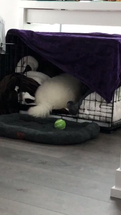 Watch saira 🦇's leaked NSFW video on TwXstars