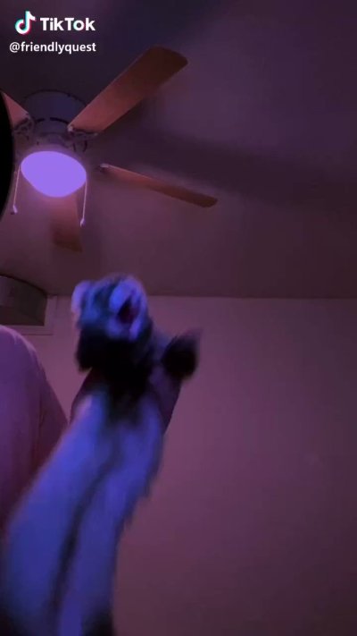 Watch gigardez's leaked NSFW video on TwXstars