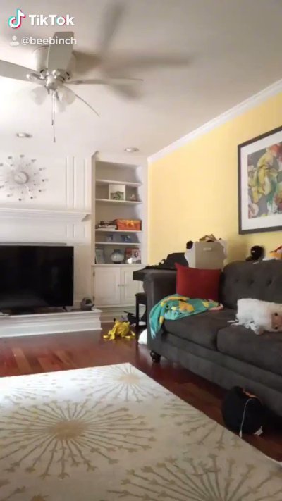 Watch mastiff's leaked NSFW video on TwXstars