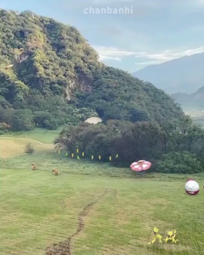 Watch chan's leaked NSFW video on TwXstars