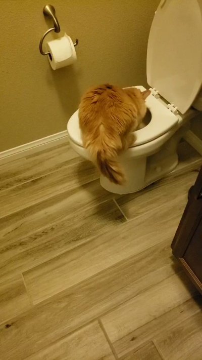 Watch Bear's leaked NSFW video on TwXstars