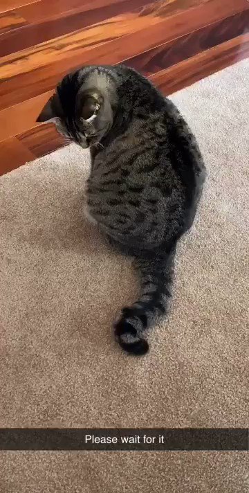 Watch Kaylee's leaked NSFW video on TwXstars