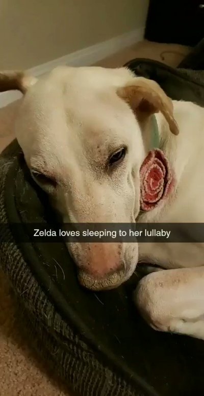 Watch Bear's leaked NSFW video on TwXstars