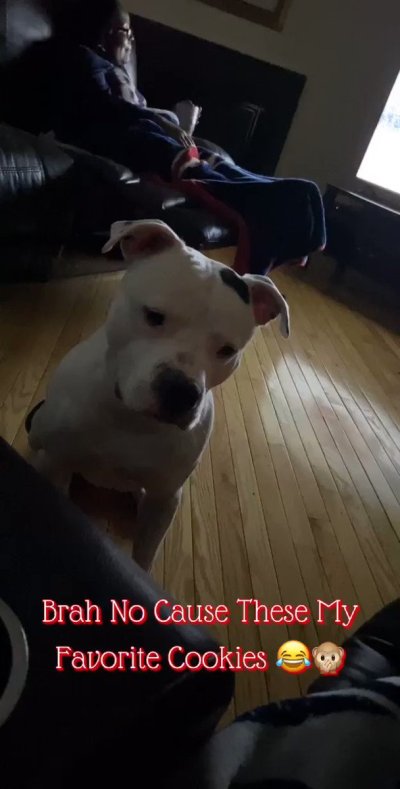 Watch Tonee. 💛's leaked NSFW video on TwXstars