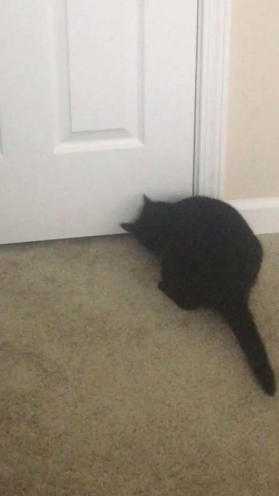 Watch Ginny Fantasy 💜 NSFW VA (Comms Closed)'s leaked NSFW video on TwXstars