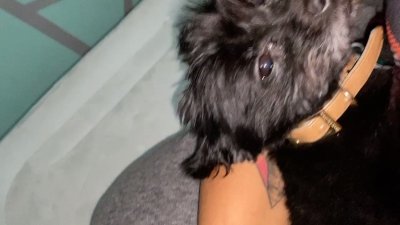 Watch juicyyjuicebox's leaked NSFW video on TwXstars