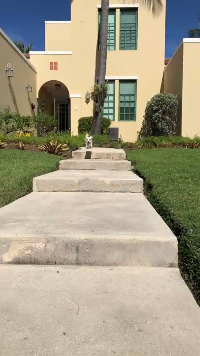 Watch Kari Nautique's leaked NSFW video on TwXstars