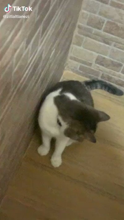 Watch gigardez's leaked NSFW video on TwXstars