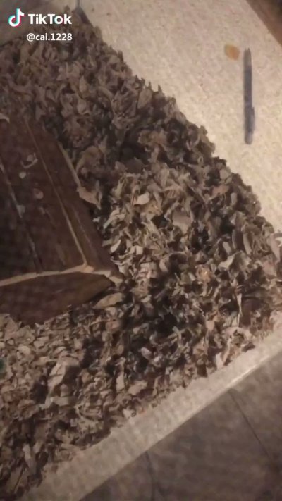 Watch gigardez's leaked NSFW video on TwXstars