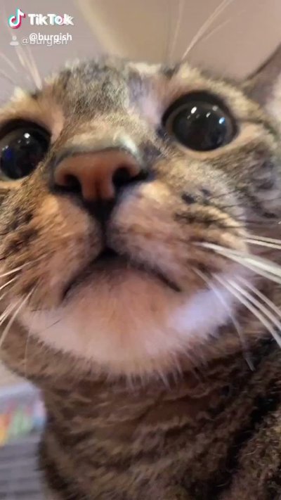 Watch gigardez's leaked NSFW video on TwXstars