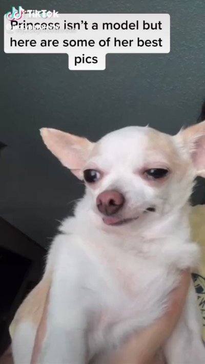 Watch gigardez's leaked NSFW video on TwXstars