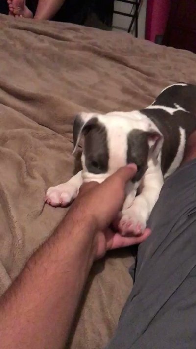 Watch genbxnz♡'s leaked NSFW video on TwXstars