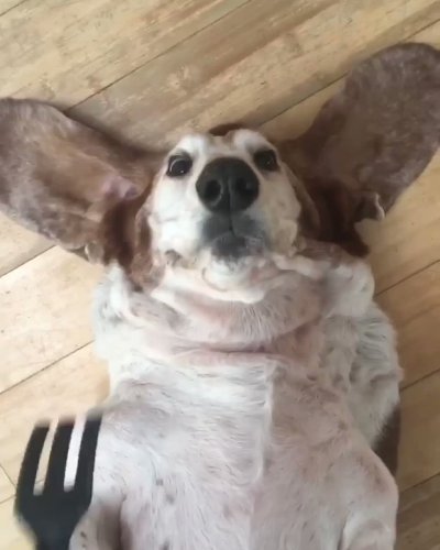 Watch Facebook's leaked NSFW video on TwXstars