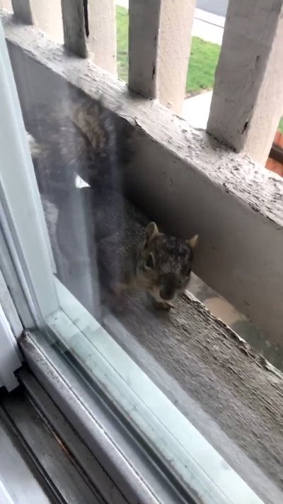 Watch 𝙺𝚊𝚢𝚕𝚎𝚎 𝚁𝚊𝚎's leaked NSFW video on TwXstars