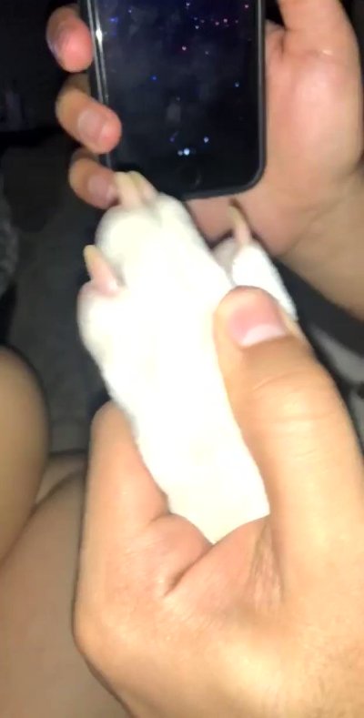 Watch genbxnz♡'s leaked NSFW video on TwXstars