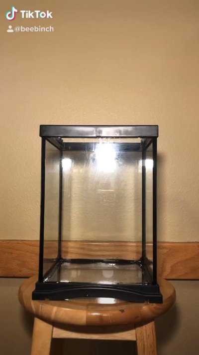 Watch mastiff's leaked NSFW video on TwXstars