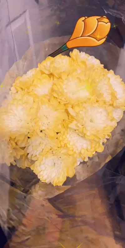 Watch  🅚🅐🅜🅒🅞🅜 's leaked NSFW video on TwXstars