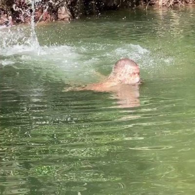 Watch Ruslan Angelo FP's leaked NSFW video on TwXstars