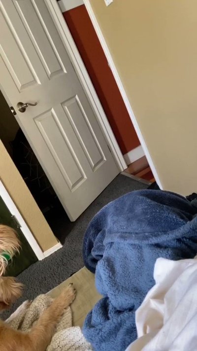 Watch CanhOe's leaked NSFW video on TwXstars