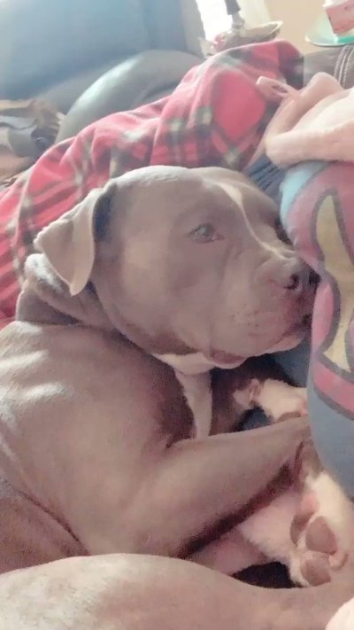 Watch 𝖘𝖜𝖊𝖊𝖙𝖍𝖊𝖆𝖗𝖙♥️'s leaked NSFW video on TwXstars