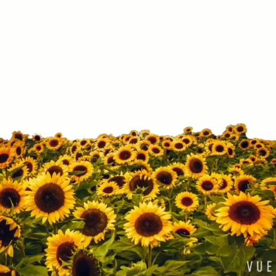 Watch XAV.'s leaked NSFW video on TwXstars