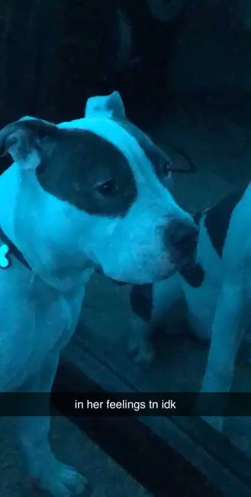 Watch genbxnz♡'s leaked NSFW video on TwXstars