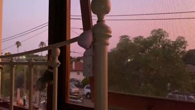 Watch may 🇦🇺's leaked NSFW video on TwXstars