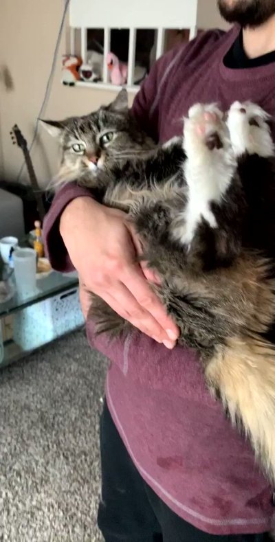 Watch ฅ^•ﻌ•^ฅ's leaked NSFW video on TwXstars