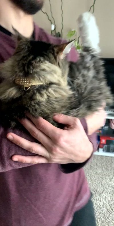 Watch ฅ^•ﻌ•^ฅ's leaked NSFW video on TwXstars