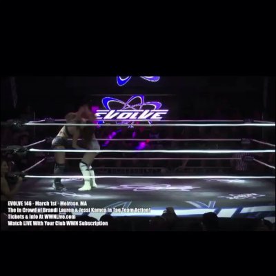 Watch Brandi Lauren's leaked NSFW video on TwXstars