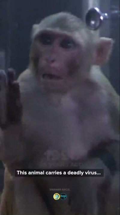 Watch Lisa Bell's leaked NSFW video on TwXstars