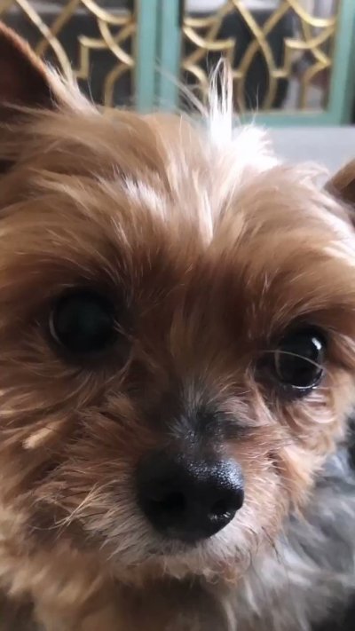 Watch Jayden Cole's leaked NSFW video on TwXstars