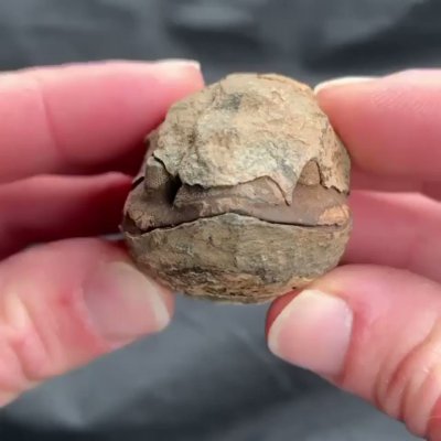 Watch Geology Page's leaked NSFW video on TwXstars