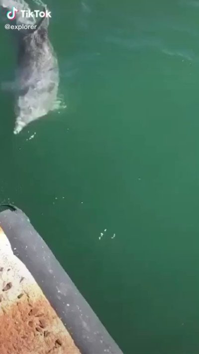 Watch gigardez's leaked NSFW video on TwXstars