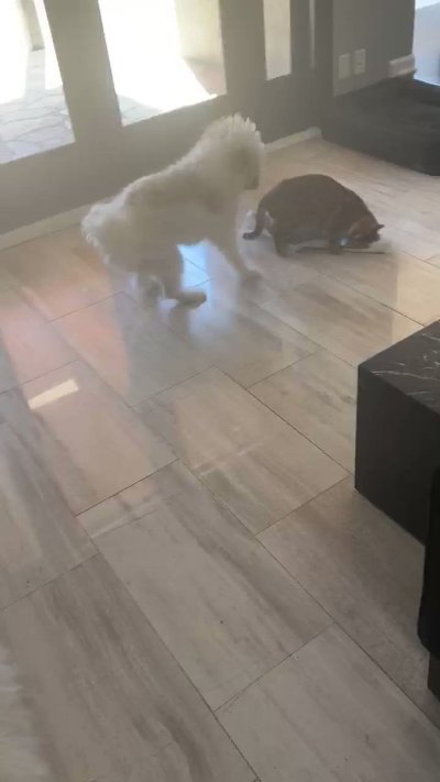 Watch Jillian Barberie's leaked NSFW video on TwXstars