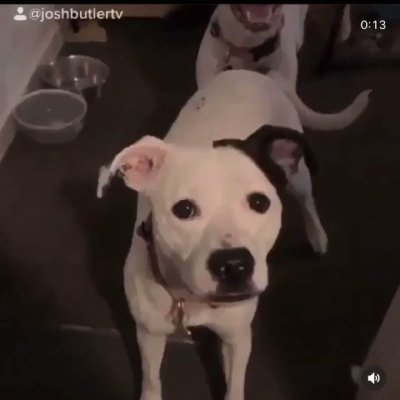 Watch serqett's leaked NSFW video on TwXstars