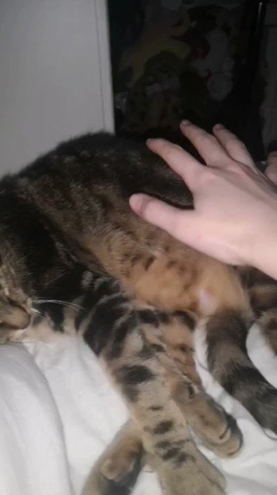 Watch 🌸Nori🌸's leaked NSFW video on TwXstars