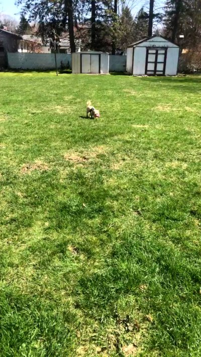 Watch Alisha's leaked NSFW video on TwXstars