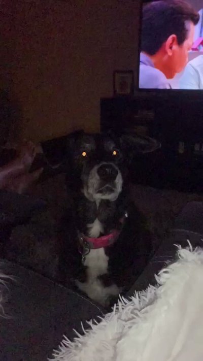 Watch Brandi Lauren's leaked NSFW video on TwXstars