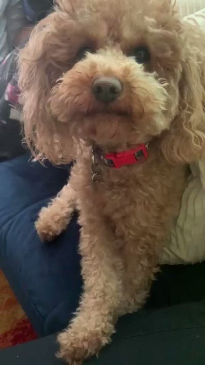 Watch 🌪🦂's leaked NSFW video on TwXstars